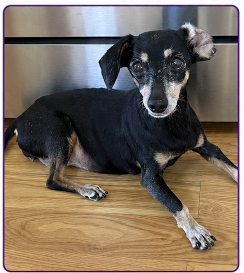 Photo of Todo