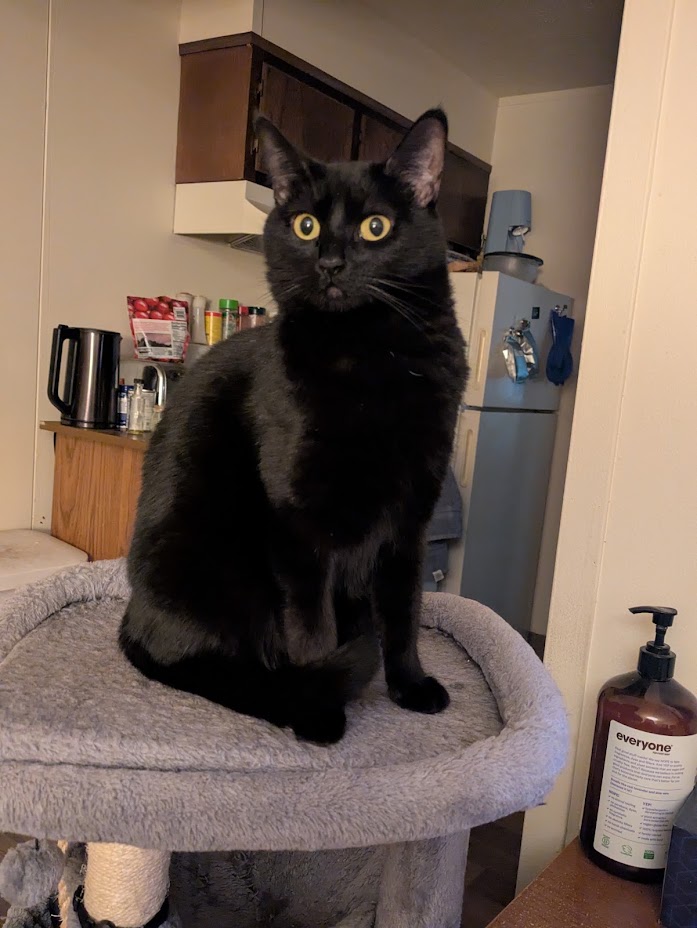 Photo of Aubrey
