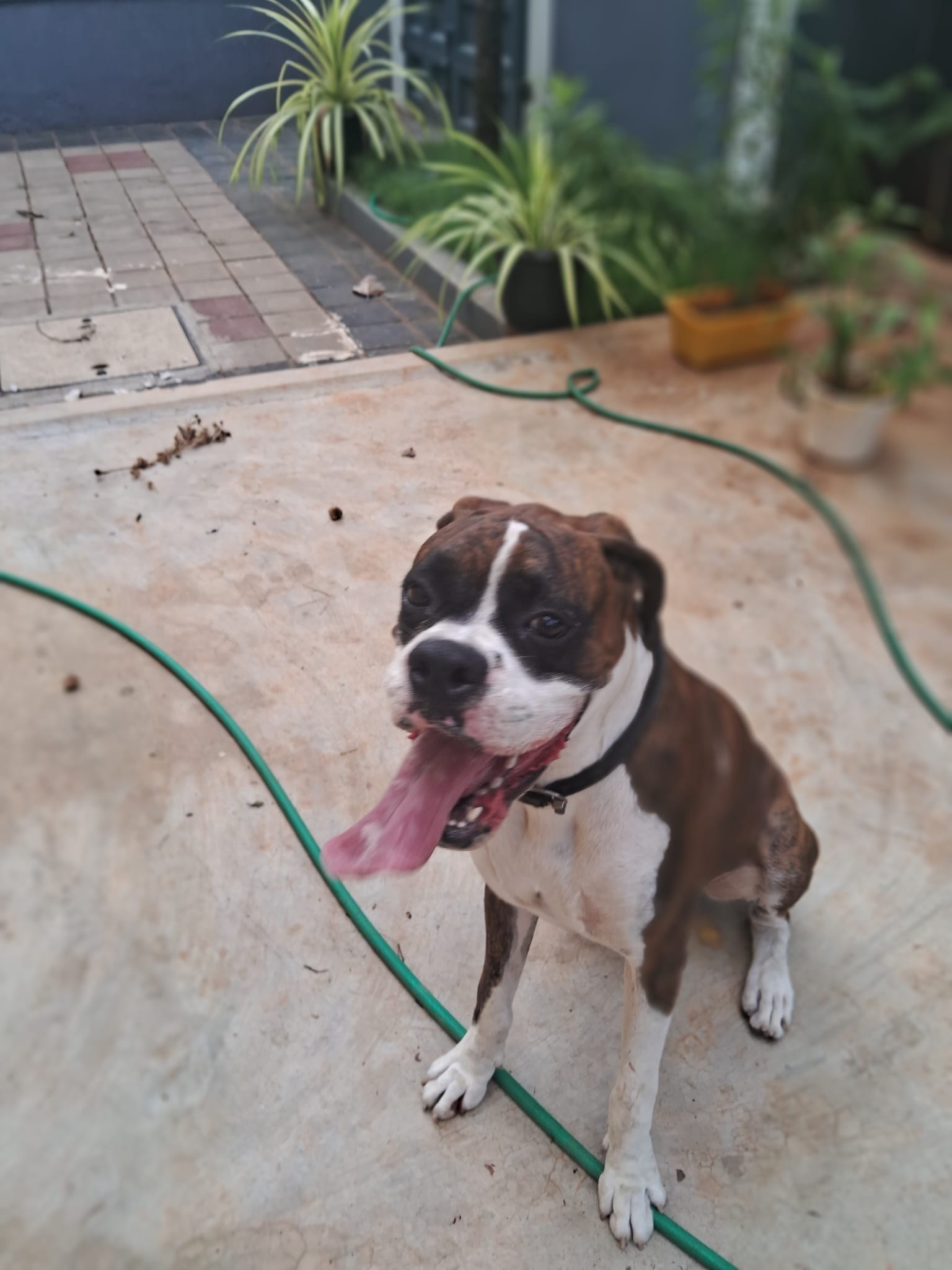 Photo of birav