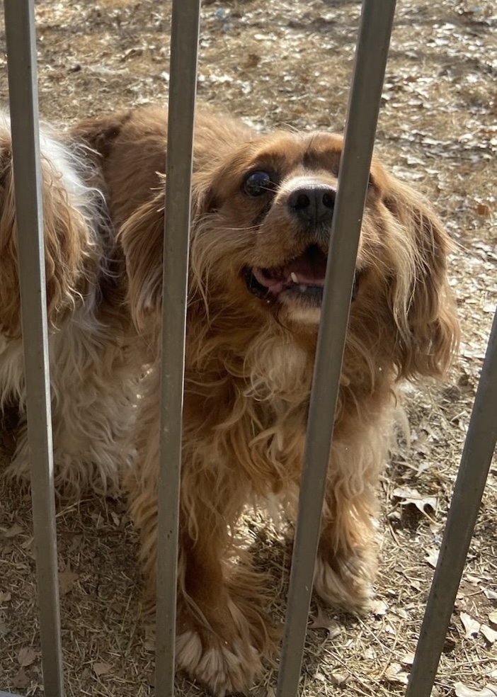 Photo of St. Nicholas